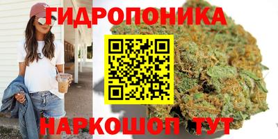 стафф Волгодонск