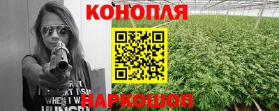 стафф Волгодонск