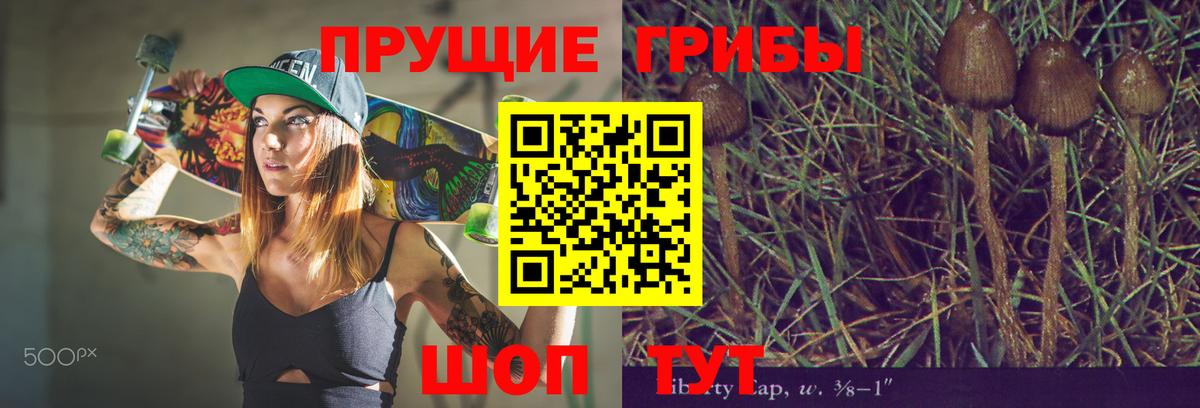 Галлюциногенные грибы прущие грибы Россия