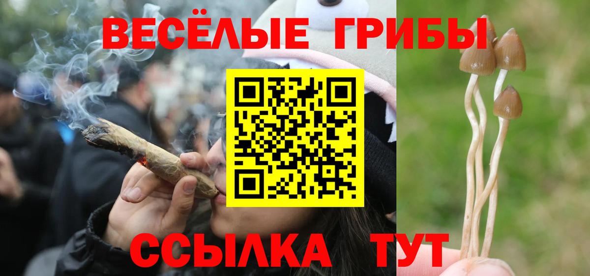 Галлюциногенные грибы MAGIC MUSHROOMS  Вход с VPN  Россия 